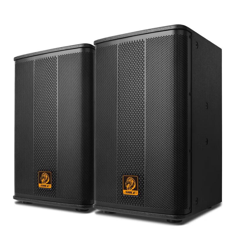 SHILE BX-110 10-inch Professional Conference Speaker