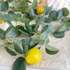 Искусственная гирлянда из лимонов, искусственная зелень, лианы, искусственные листья эвкалипта с лимонами для дома