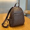 New Large-capacity Retro Style Women's Bag, High-end Versatile Backpack