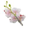 Butterfly Orchid Orchid Flower Hairpin Korean Style Bohemia Duckbill Clip  Daily
