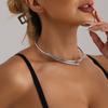Jewelry Metal Light Luxury Collar Necklace Feminine Temperament Elegant Choker Necklace
