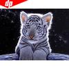 5d Diamond Painting Full Drill Round Animals Diamond Mosaic Sale Cat Diamond Embroidery