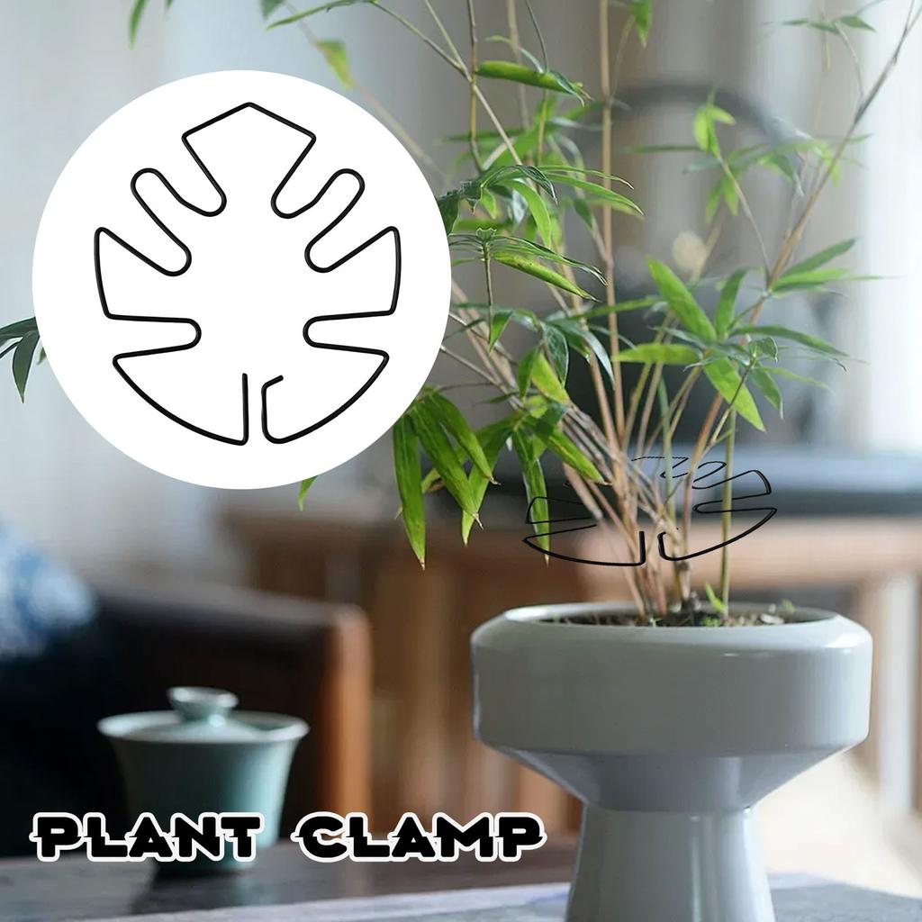 Новая трансграничная поддержка растений в форме монстеры Поддержка растений в форме монстеры