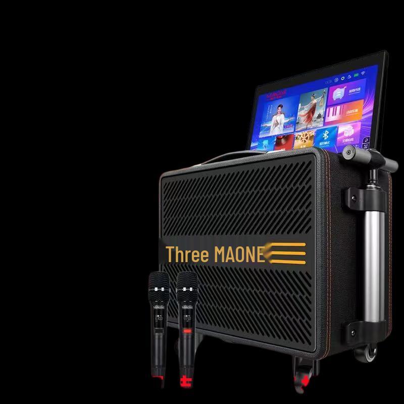 MALONE Portable Outdoor KTV Speaker System CN plug (adapter included) (CN version)