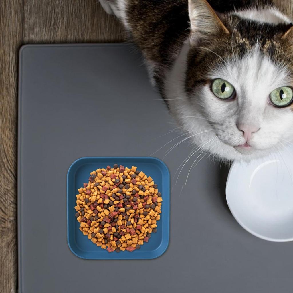 4 цвета, квадратная миска для кормления, миска для кошачьей еды, миски без усталости для влажного и сухого корма для котят и коротконогих кошек