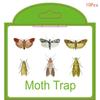 2/5/10 шт. Ловушки для моли Кладовая Одежда Кухня Еда Дом Сад Борьба с вредителями Ловушки для моли Феромон Моль Наклейка Ловушка для моли