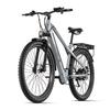 JOOBIKE JOO2 Electric Bike, 1000W Brushless Motor, 48V 16Ah Battery, 29×2.25'' Tires, 7-Speed, Hydraulic Brakes, LCD Display, 90km Range, 45km/h, Grey