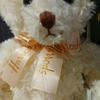 [USED] Harrods Oliver Teddy Bear Plush Toy