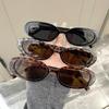 Women Fashion Y2K Oval Frame Glasses for Outdoor Hiking Camping Beach Party Vacation Outfits Accessories Beach Accessories for Women Glasses Shades