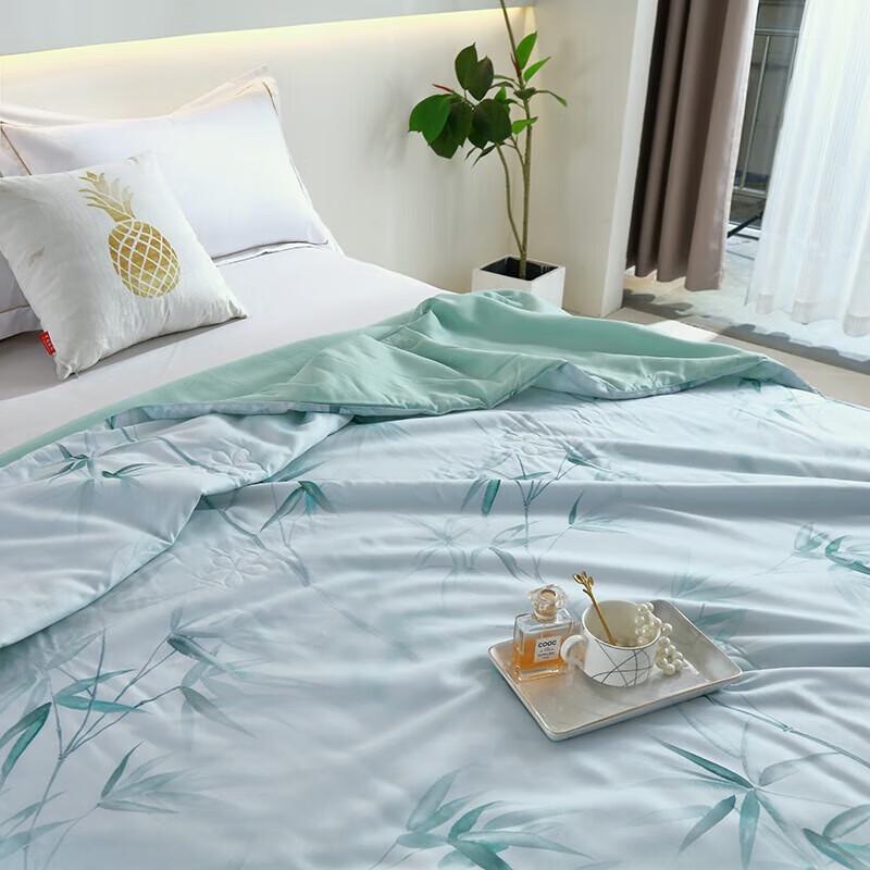 Jie Li Ya Lyocell Fiber Summer Cool Quilt