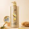 Suhreh Strong Anti-Breakage Ginseng Ginger Shampoo