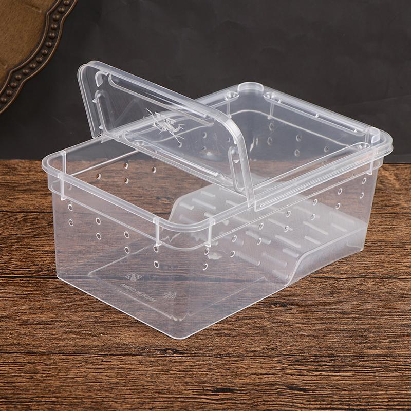 Reptile Box Mantis Jumping Spider Silkworm Rearing Box Reptile Rearing Box