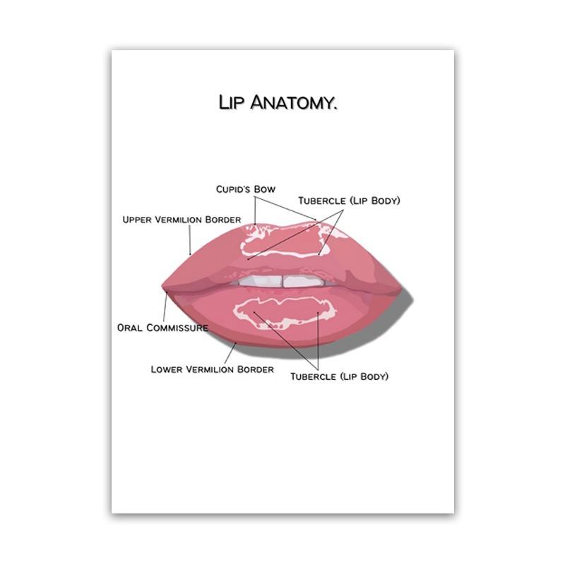 Новый Строение тела Скелет Настенное искусство Анатомия нервной системы Холст Картина Образовательный плакат Медицинский Декорация Живопись