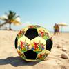 Sesame Street2 Soccer Ball Colorful All Ages Machine Stitched PVC Competition Ready Durable High-Bounce.SIZE5