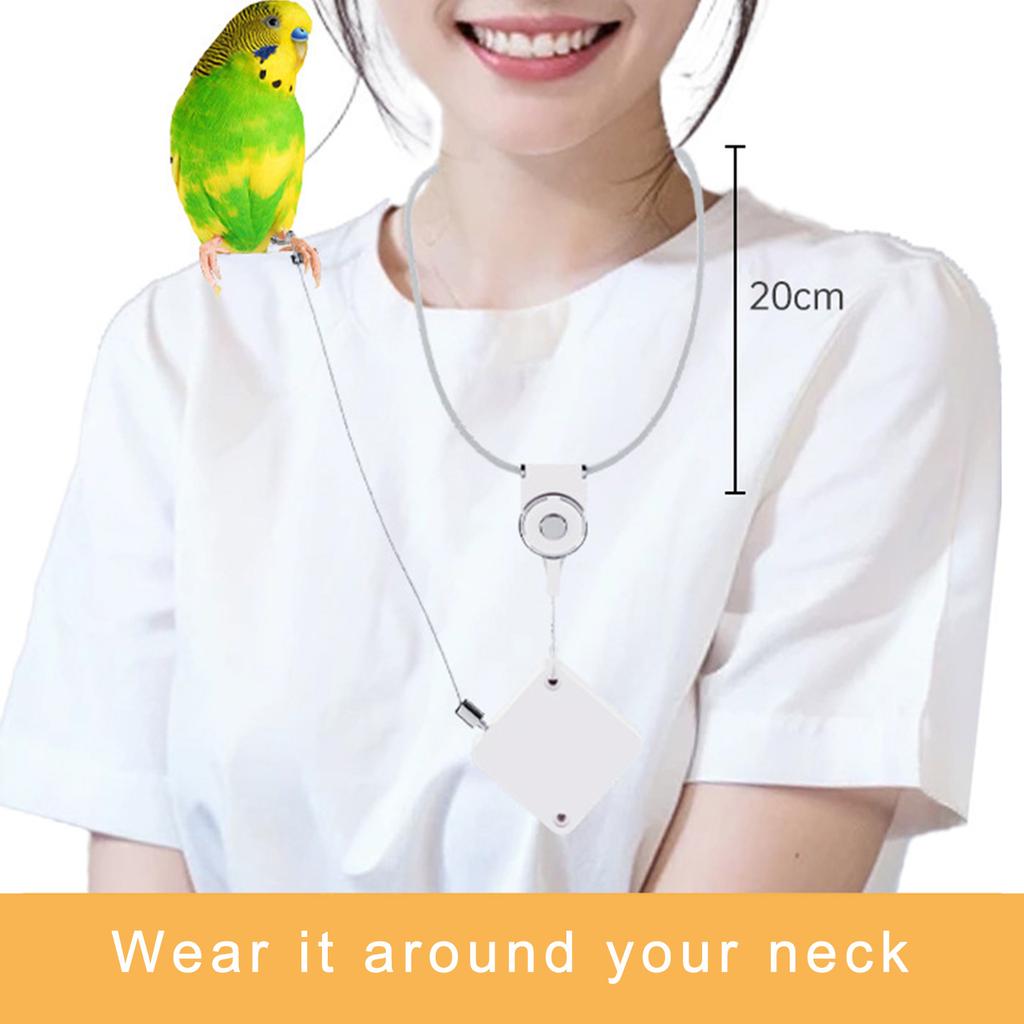Нержавеющая сталь Попугай Ножной браслет Домашняя птица Страховочная шлейка Авиационные приключения Снаряжение для безопасного обращения с птицами
