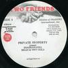 12-дюймовая пластинка BRIAN TONY GOLD SHABBA RANKS Private Property SIR040 TWO FRIENDS US Reggae Ska Dub Б/у