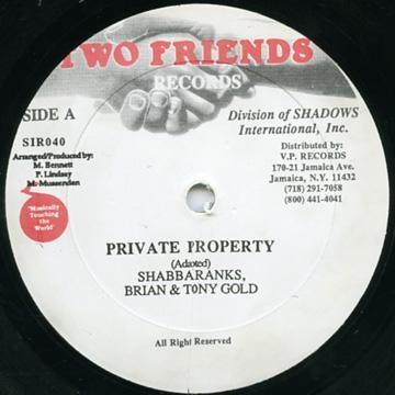 12-дюймовая пластинка BRIAN TONY GOLD SHABBA RANKS Private Property SIR040 TWO FRIENDS US Reggae Ska Dub Б/у