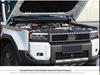 Газовые упоры для капота 2024 Prado LC250