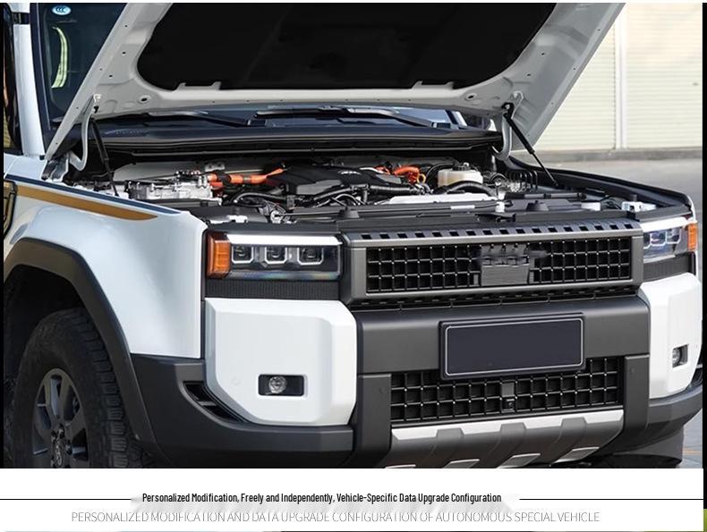 Газовые упоры для капота 2024 Prado LC250