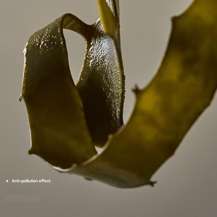 Purito Seoul Wonder Relief Centella Daily Sun Lotion SPF50+ PA++++ (3 Options)