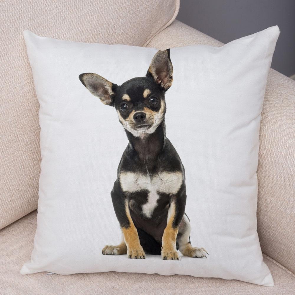 Cute Pet Animal Pillowcase Decorative Cute Puppy Chihuahua Pillowcase Soft Plush Cushion Cover for Car Sofa Home 45x45cm