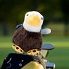 Eagle Plush Driver Head Cover, Protector, Cute , Scratch Resistant Women Men Present Funny Golf