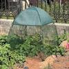 Plant Shade Cover Shade Canopy for Plants Foldable Animals Guard Gardening Accessories for Tomato Strawberry Trees Fruits