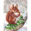 Круглый бриллиант 5D DIY Алмазная картина Белка Вышивка крестом Кристалл Вышивка