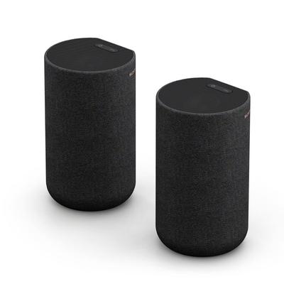 Sony Задняя саундбар-колонка Серия A Совместимая Черная SA-RS5 Встроенный динамик, Модель,