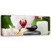 Canvas Print, Orchid Flowers Zen