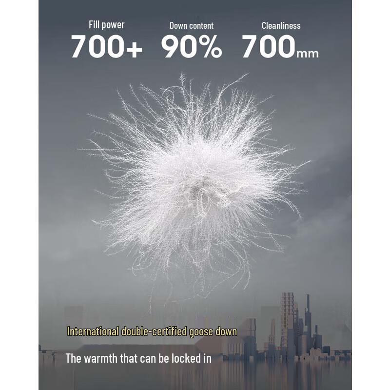 BOSIDENG Мужской пуховый жилет B250134101