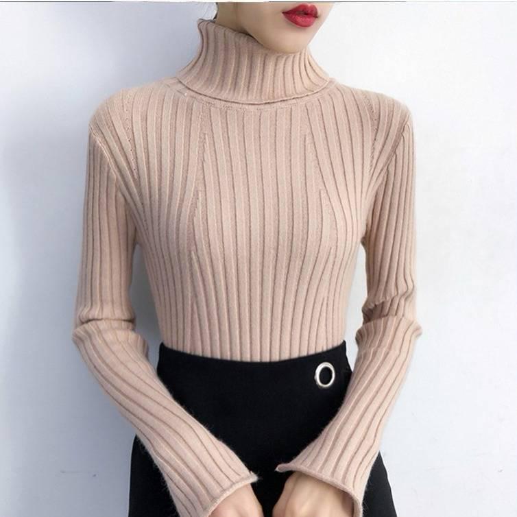 Autumn and Winter Turtleneck Sweater Women's Knit Bottoming Shirt Slim Inside Long Sleeves