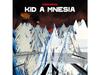 [UHQCD] Бонус-треки Kid A Mnesia 5, ограниченное издание RADIOHEAD XL1166CDJP, НОВИНКА