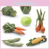 Реалистичный набор овощей из 7 штук Модель включает шпинат, морковь, кукурузу, капусту, лук, эдамаме. Изготовлен из прочного ПВХ.
