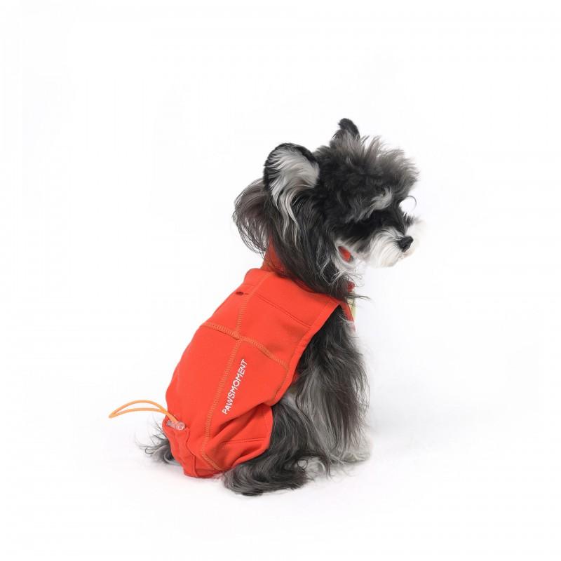 Dog Coat Small Medium Dogs Schnauzer Fox Terrier Breathable Antibacterial Winter Pet Clothes