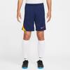 Nike Шорты повседневные мужские AS M NK DF STRK FN2402-494