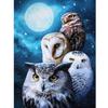 DIY Owl 5D Diamond Painting Full Round Drill Animal Diamond Embroidery Cross Stitch Mosaic Resin Crafts Kit Wall Art Home Decor