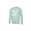 Classics Printed Crew Neck Sweatshirt Men Tops Pastel-Green 595892-32