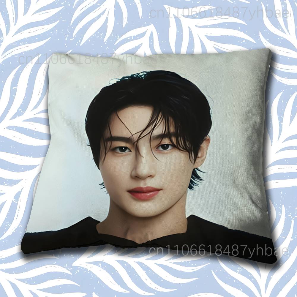 Korea BByeon Woo Seok Cushion Cover Pillow Cover Decor Pillowcase Printed Cushion Case For Couch