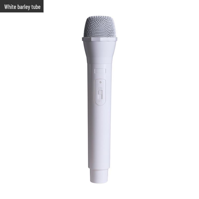 Children's Toy Microphone & Earphone Set for Photography & Performance Practice