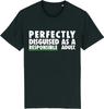 Unisexs Summer Fashion Casual Shortsleeved Shirt  Responsible Adult Tshirt Funny Rude Sarcastic Joke Novelty