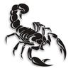 3D Waterproof Cute Scorpion Motorcycle Car Stickers and Decals Car Styling Stickers Funny Car Stickers For All Car
