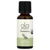 Organic Essential Oil, Rosemary, 30 Ml (1 Fl Oz)