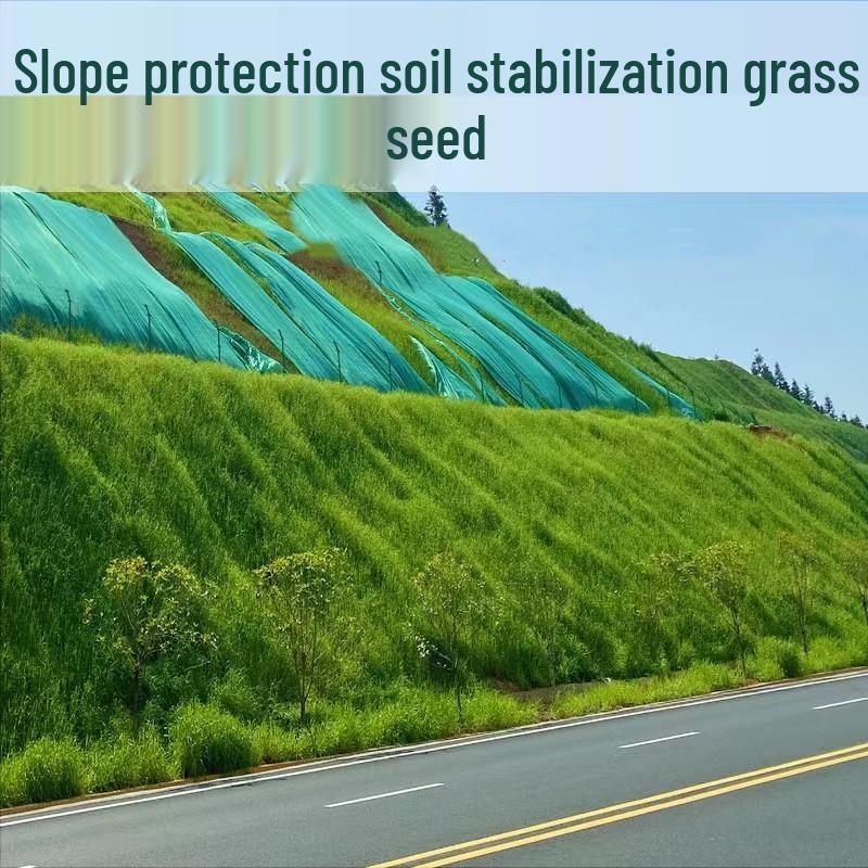 Bermuda Grass Seed: Year-Round Green, No Mowing, Wear-Resistant, for Erosion Control and Turf Stabilization.