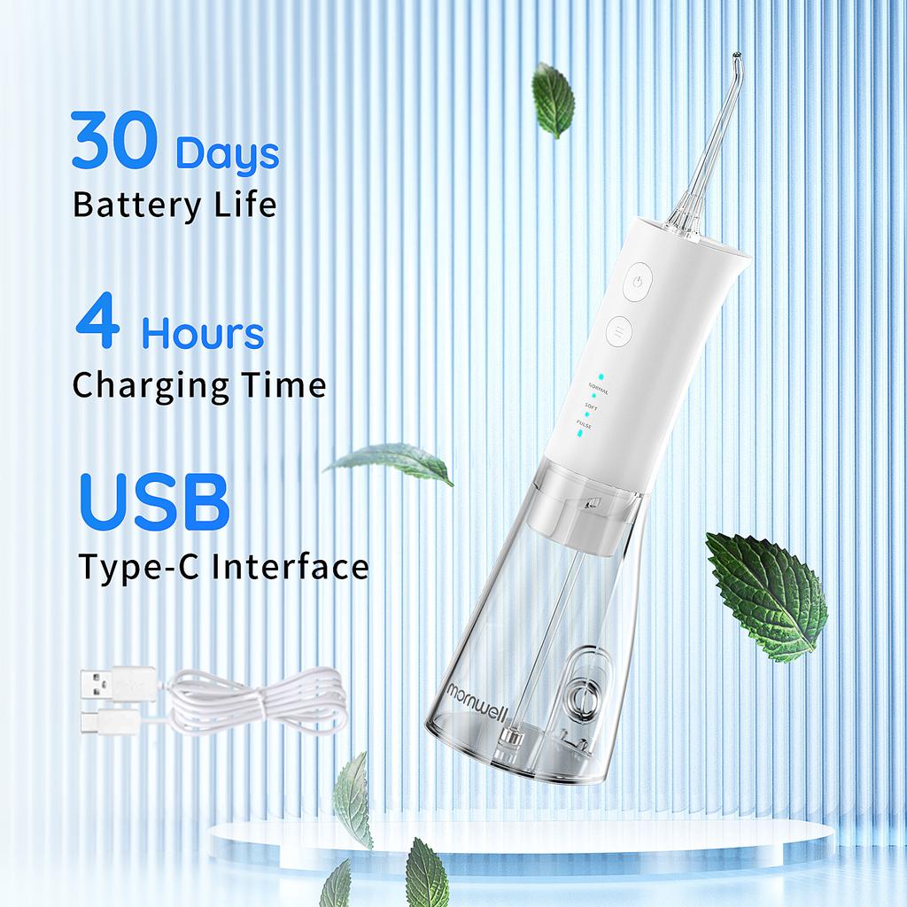 1PC Dental Water Jet 3 Mode Water Flosser Oral Irrigator for Teeth Rechargeable Portable 300ML Water Tank Teeth Cleaner