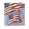 100 Pieces U.S. Flag Forever Stamps U.S. Flag Stamps