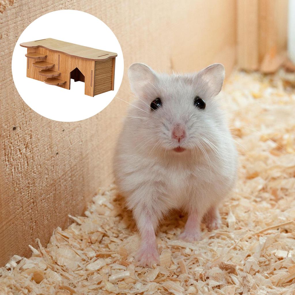 Домик для хомяка, укрытия, лестница для лазания, среда обитания мелких животных, игровой домик из натурального дерева, жевательная игрушка для карликового хомяка