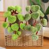 Cartoon Green Pothos Plush Plant Figurine for Home or Office Decor