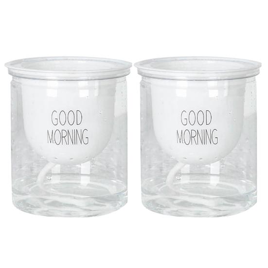 2 комплекта двухуровневого гидропонного Epipremnum Aureum самополивающегося цветочного горшка для домашнего декора