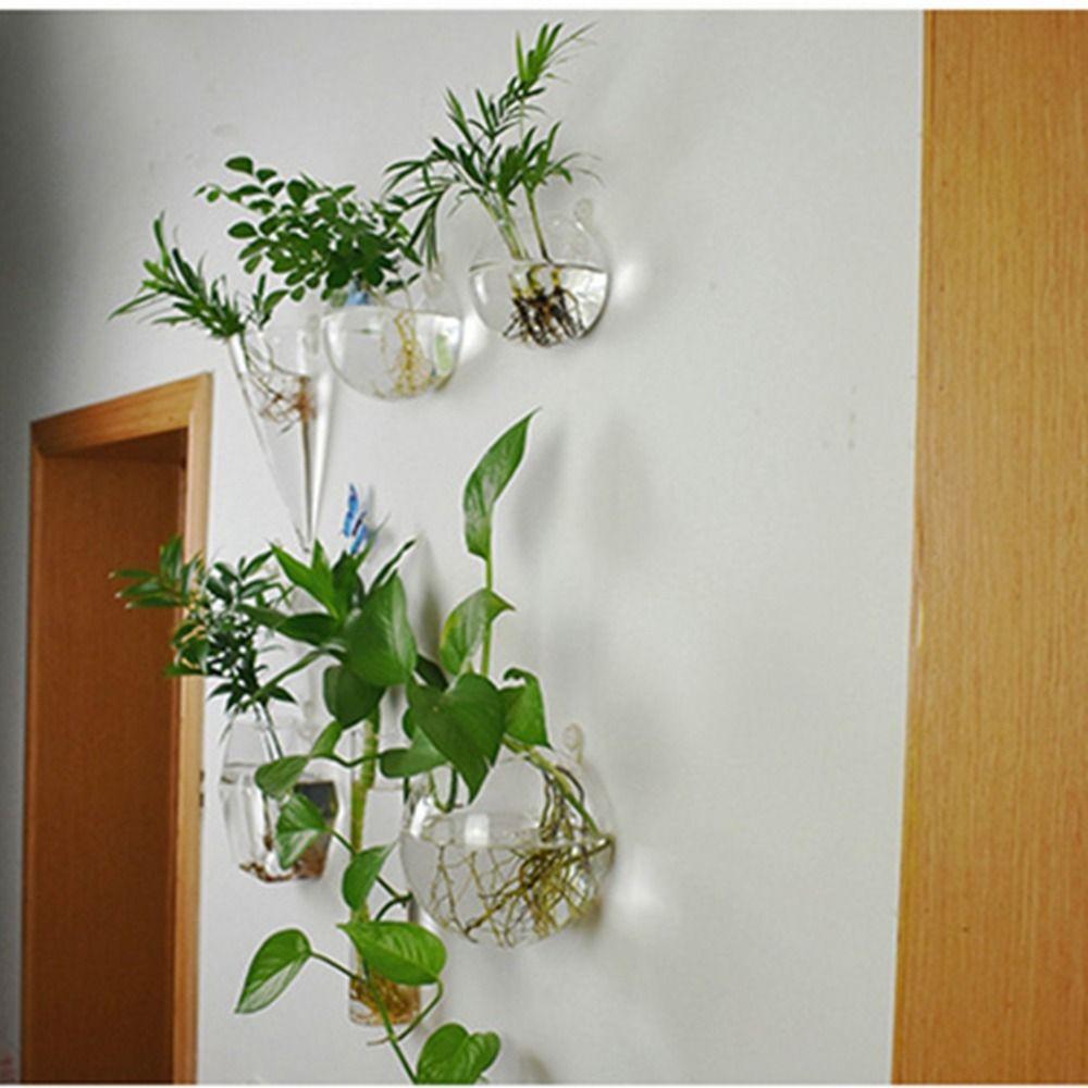 Настенные Гидропонные Растения Стеклянные Поделки Контейнер для Растений Ваза для Цветов Горшок для Цветов Гидропонная Ваза